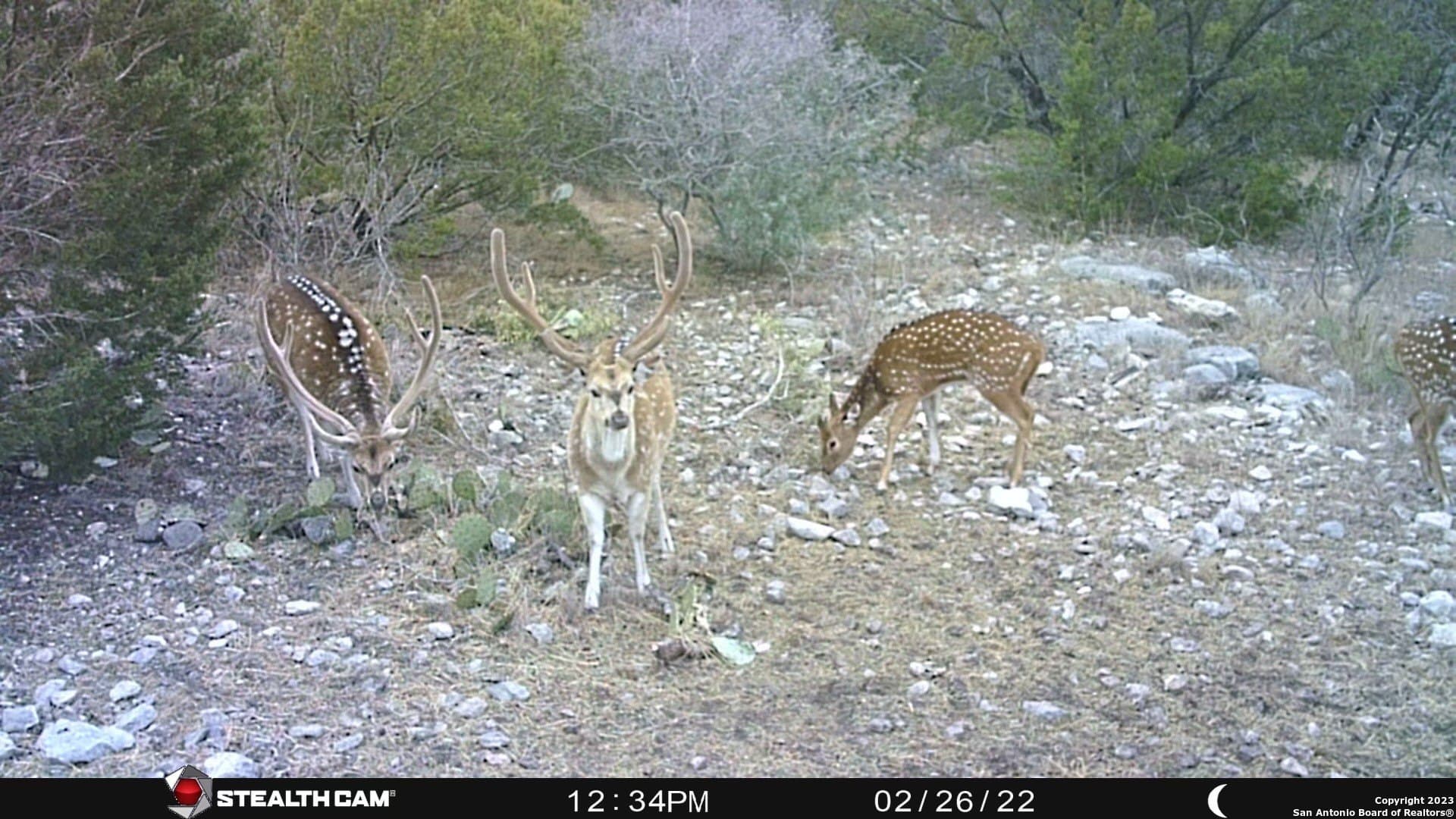 95 acres in Edwards County - photo 26