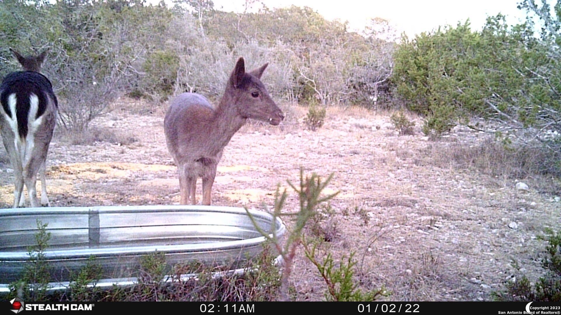 95 acres in Edwards County - photo 21