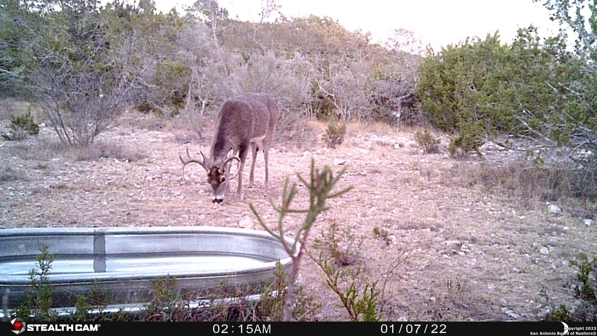 95 acres in Edwards County - photo 22