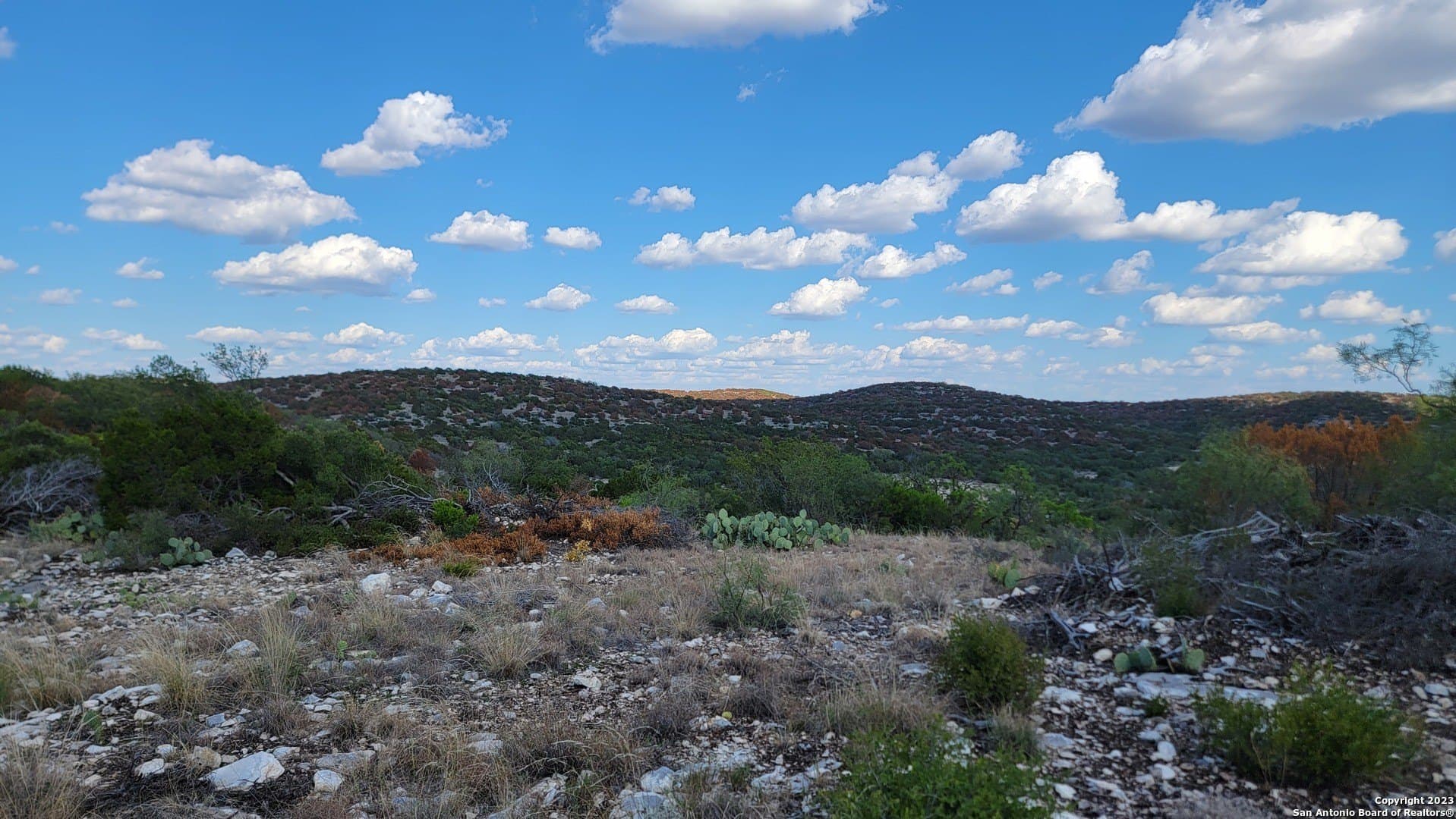95 acres in Edwards County - photo 14