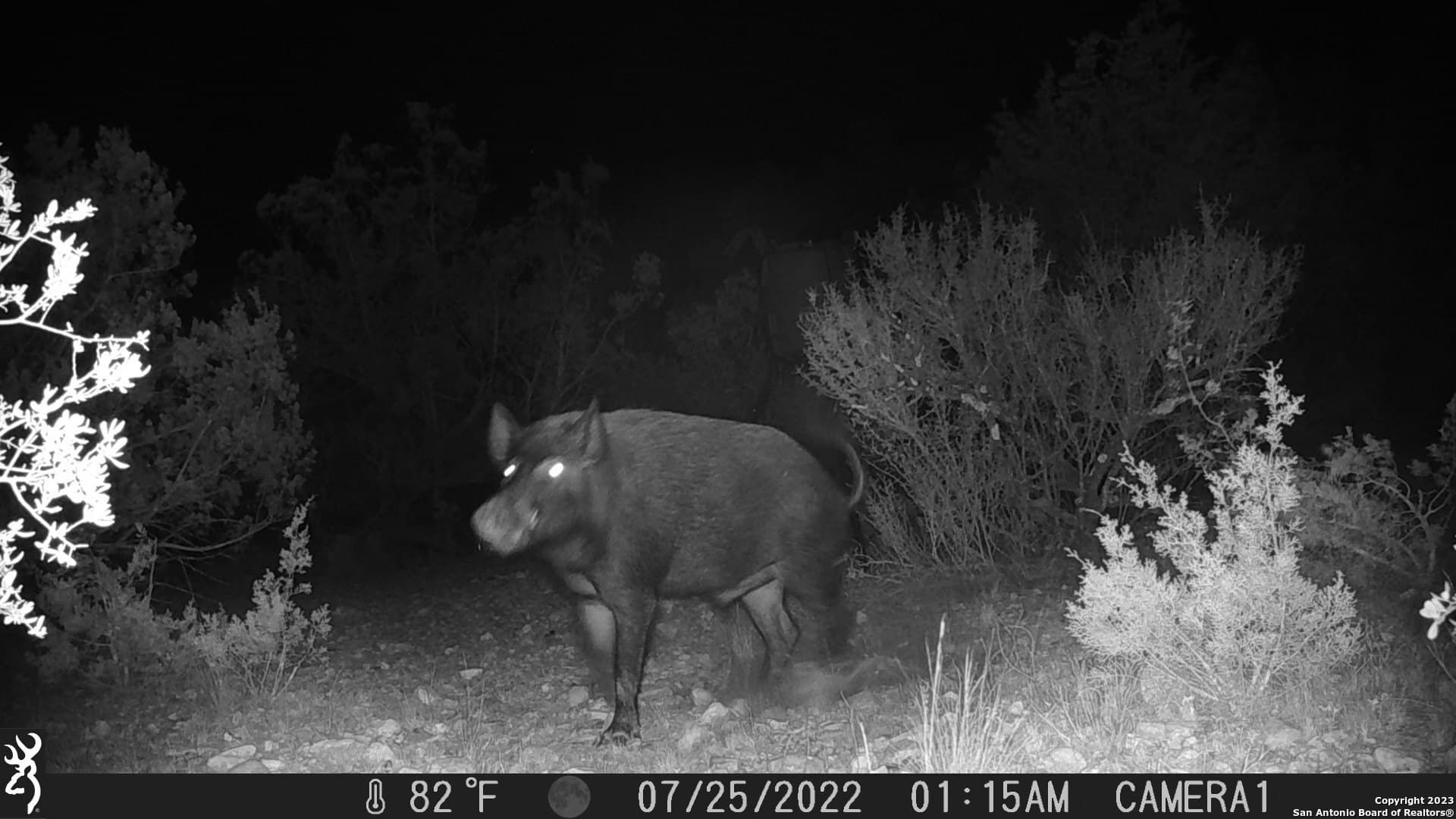 95 acres in Edwards County - photo 27