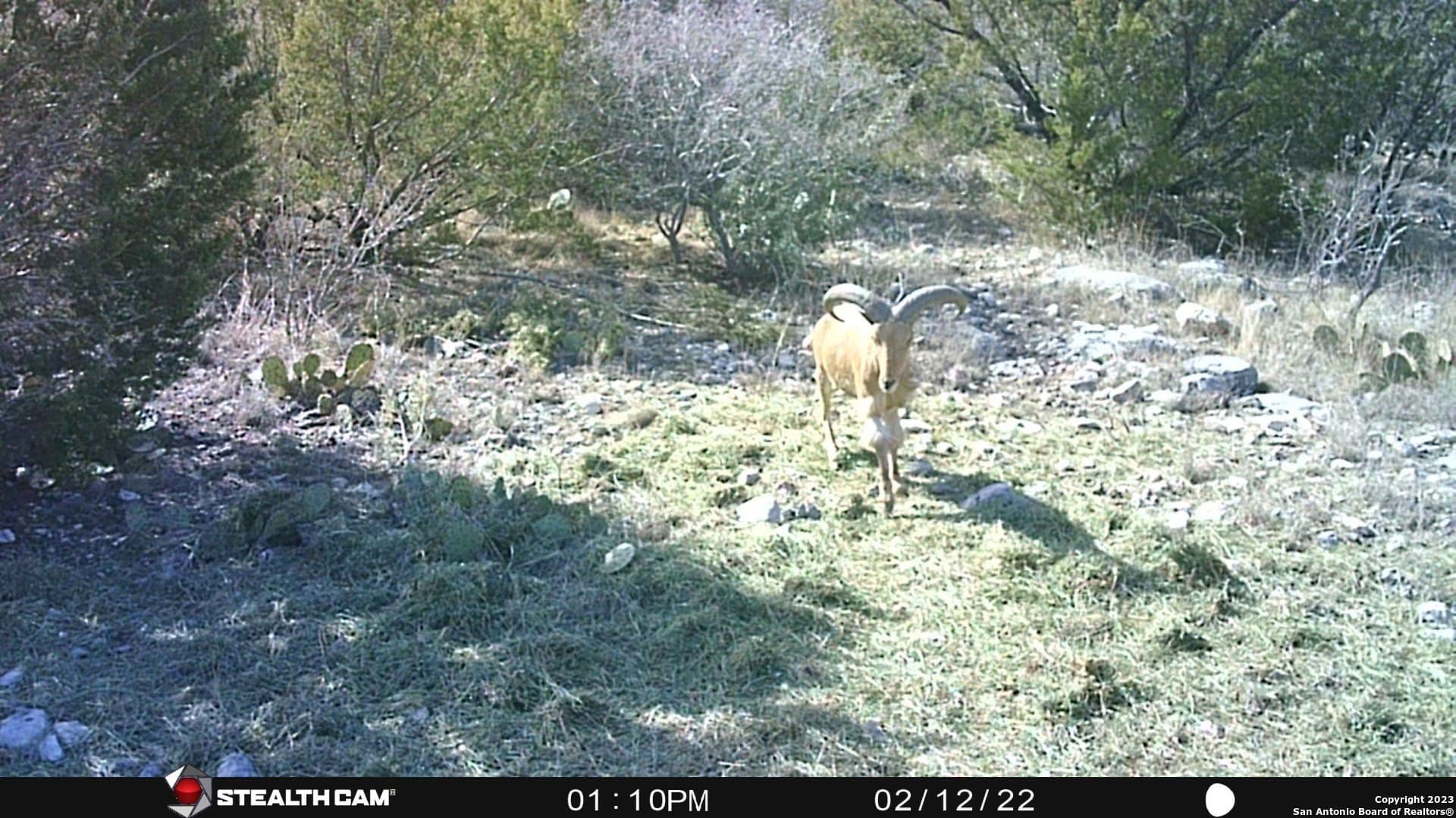 95 acres in Edwards County - photo 23