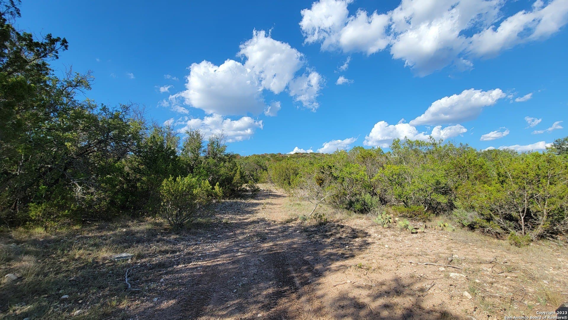 95 acres in Edwards County - photo 9