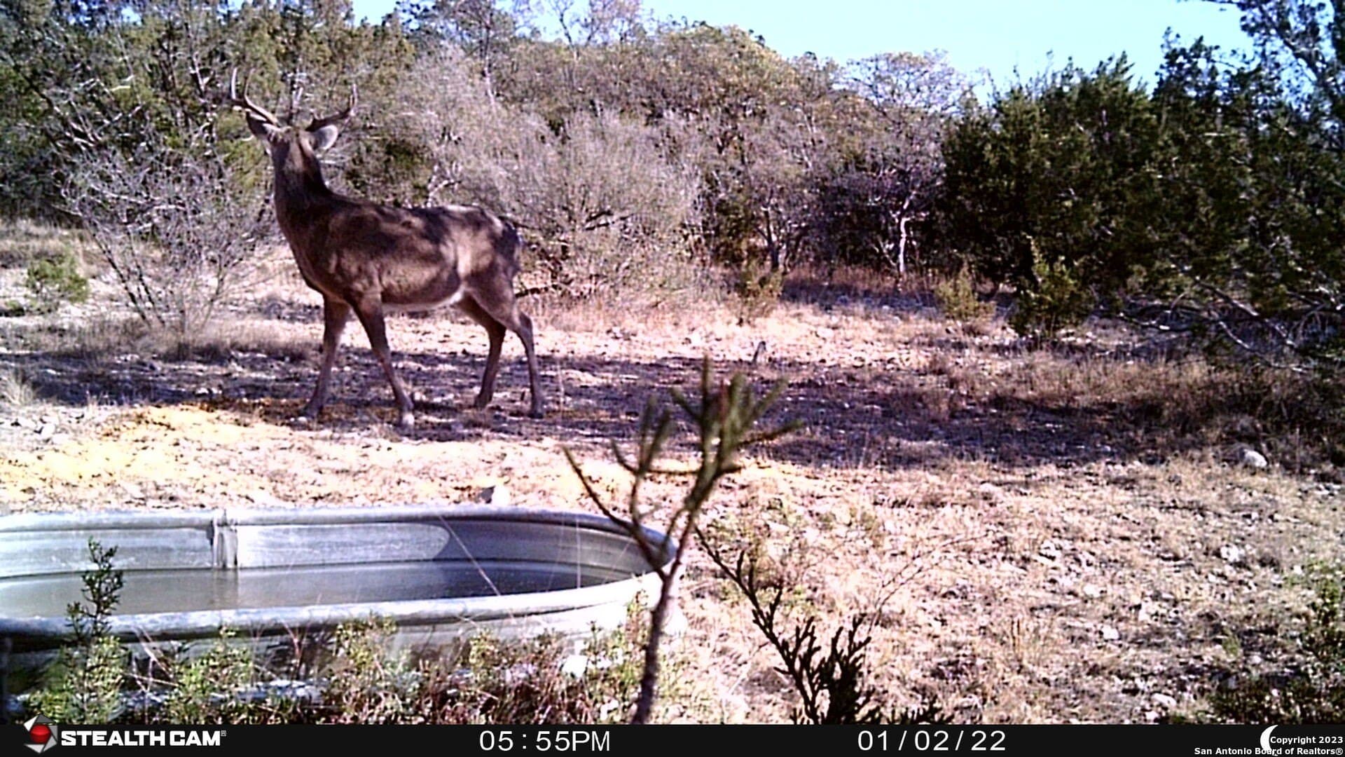 95 acres in Edwards County - photo 20