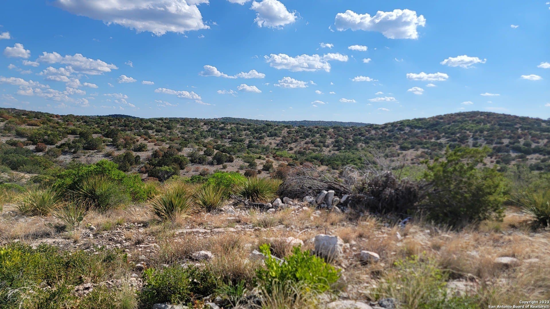 95 acres in Edwards County - photo 15