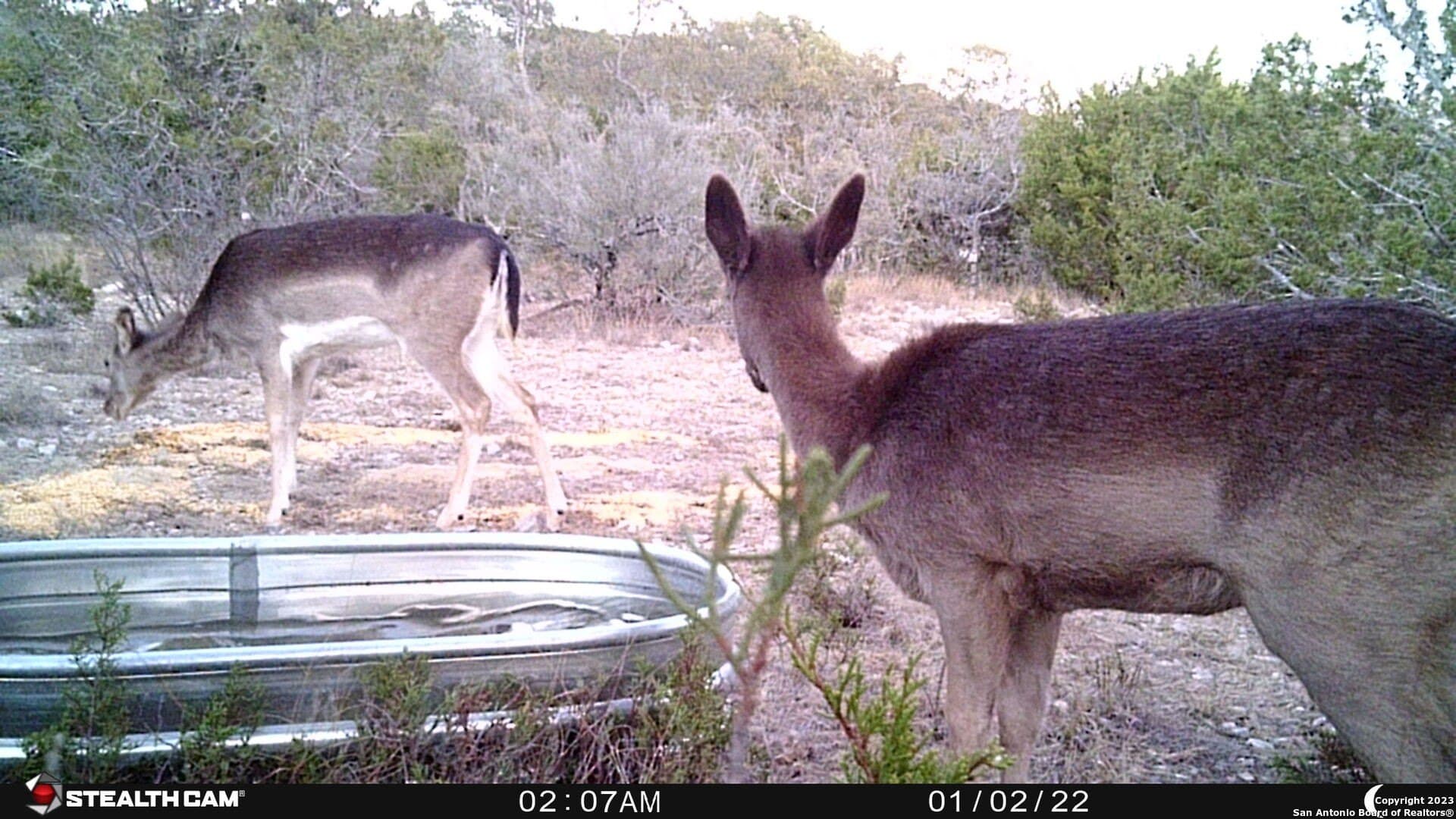95 acres in Edwards County - photo 24
