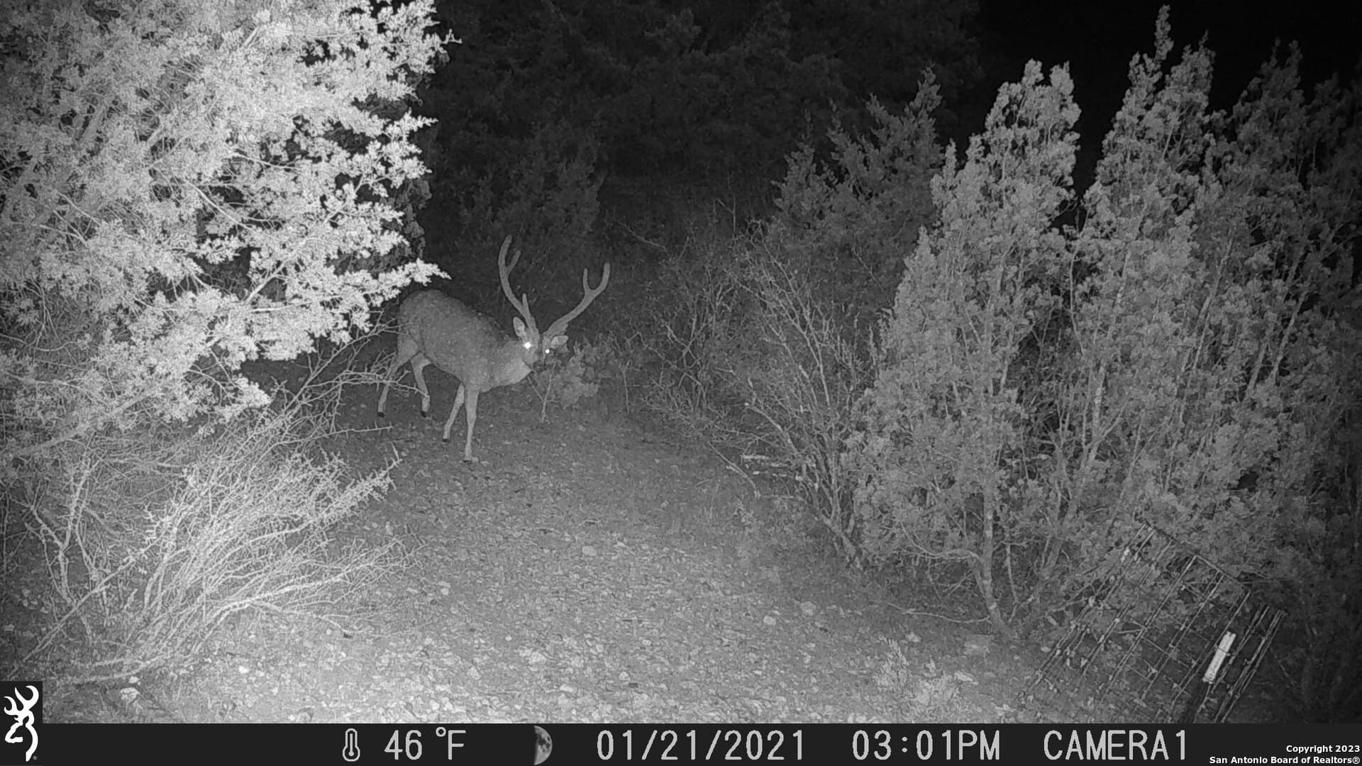 95 acres in Edwards County - photo 19