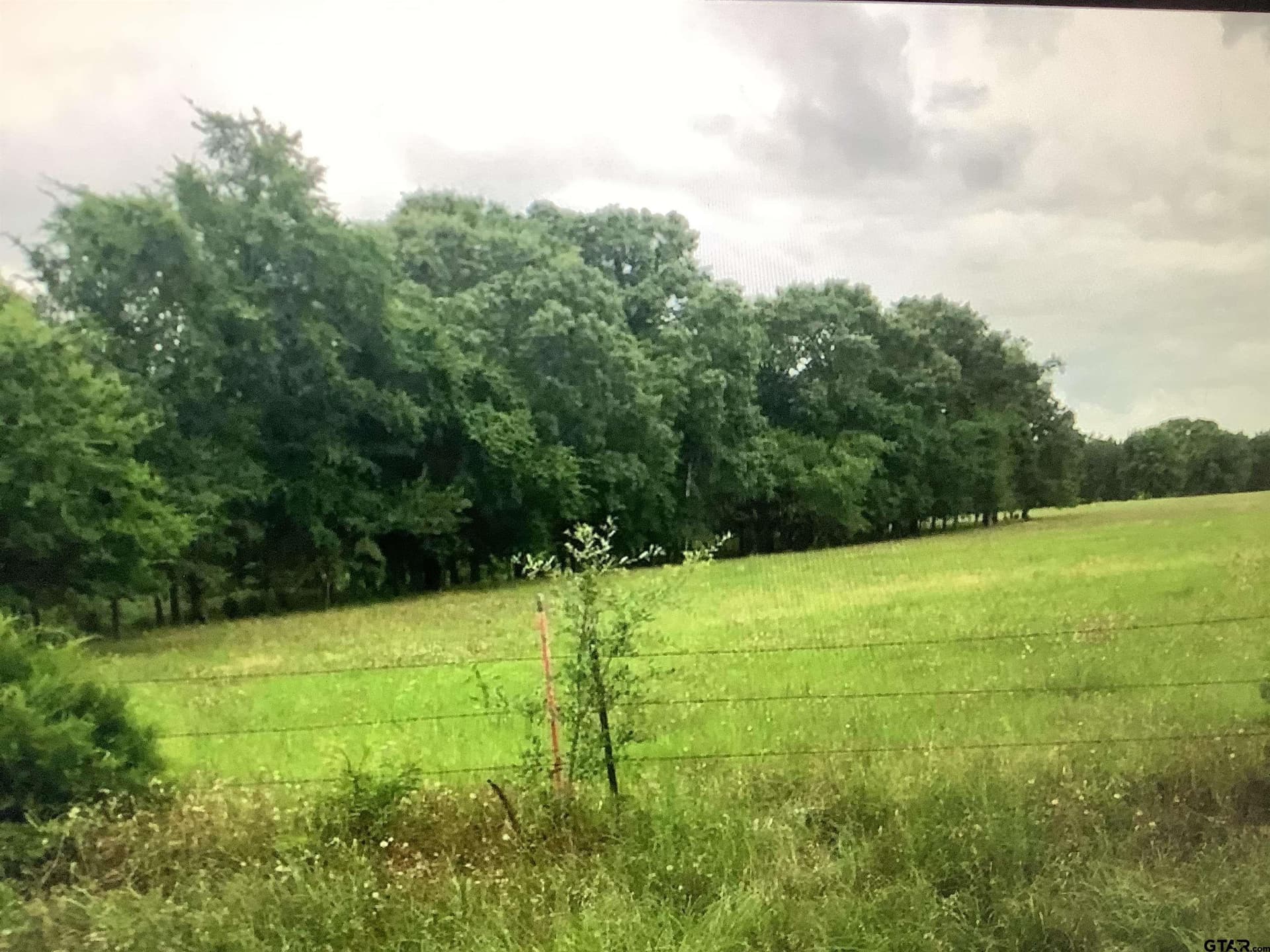 13.33 acres in Smith County - photo 6