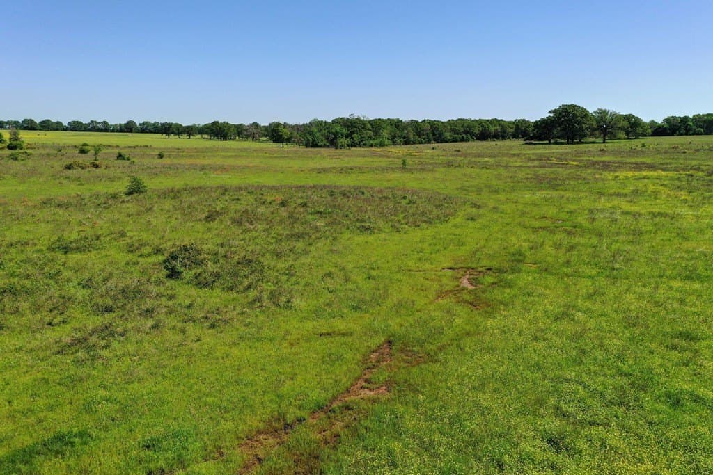 50 acres in Van Zandt County - photo 20