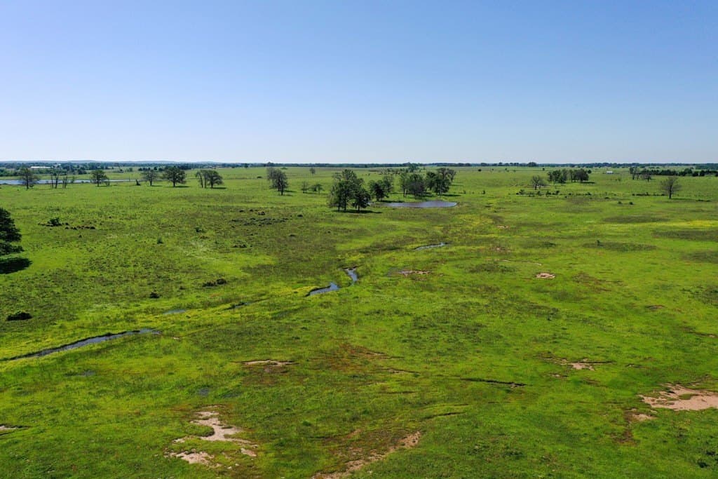 50 acres in Van Zandt County - photo 17