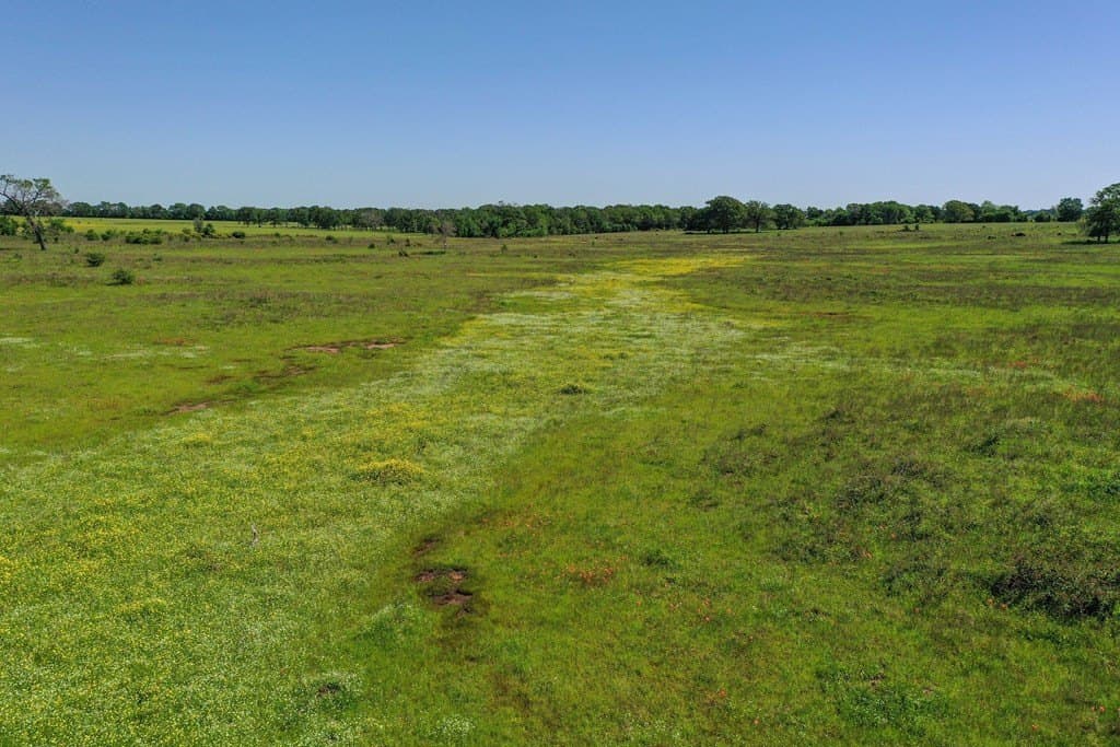 50 acres in Van Zandt County - photo 26