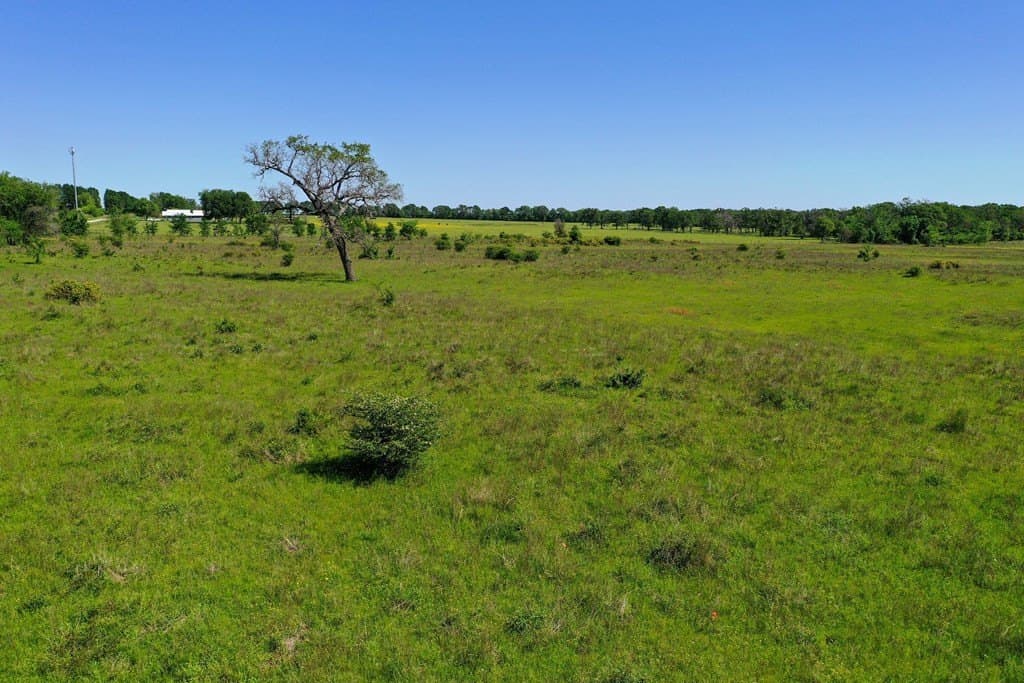 50 acres in Van Zandt County - photo 27