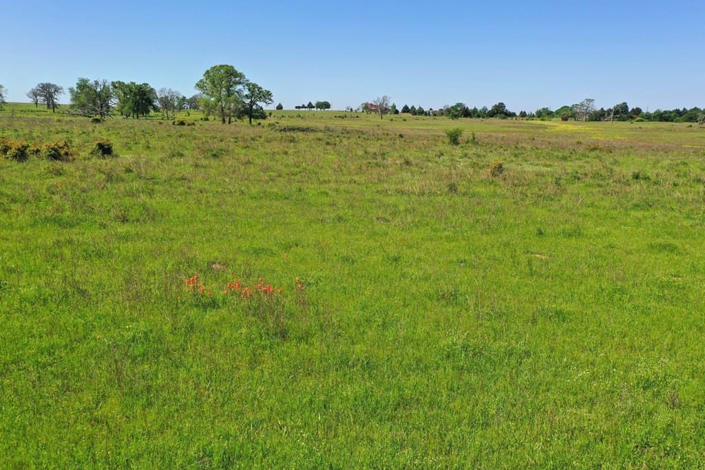 50 acres in Van Zandt County - photo 30