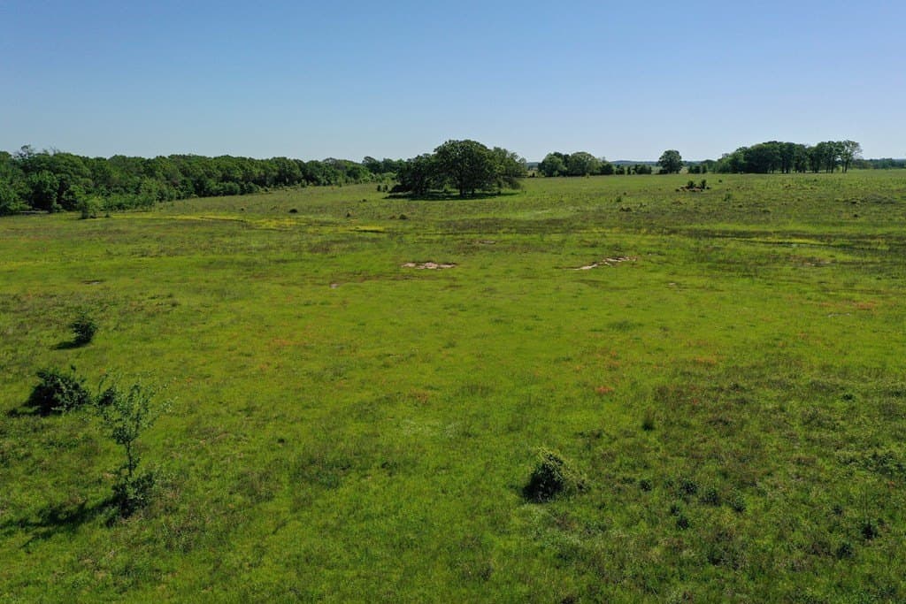 50 acres in Van Zandt County - photo 21