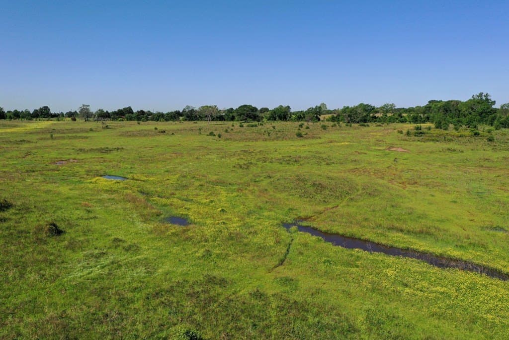50 acres in Van Zandt County - photo 16