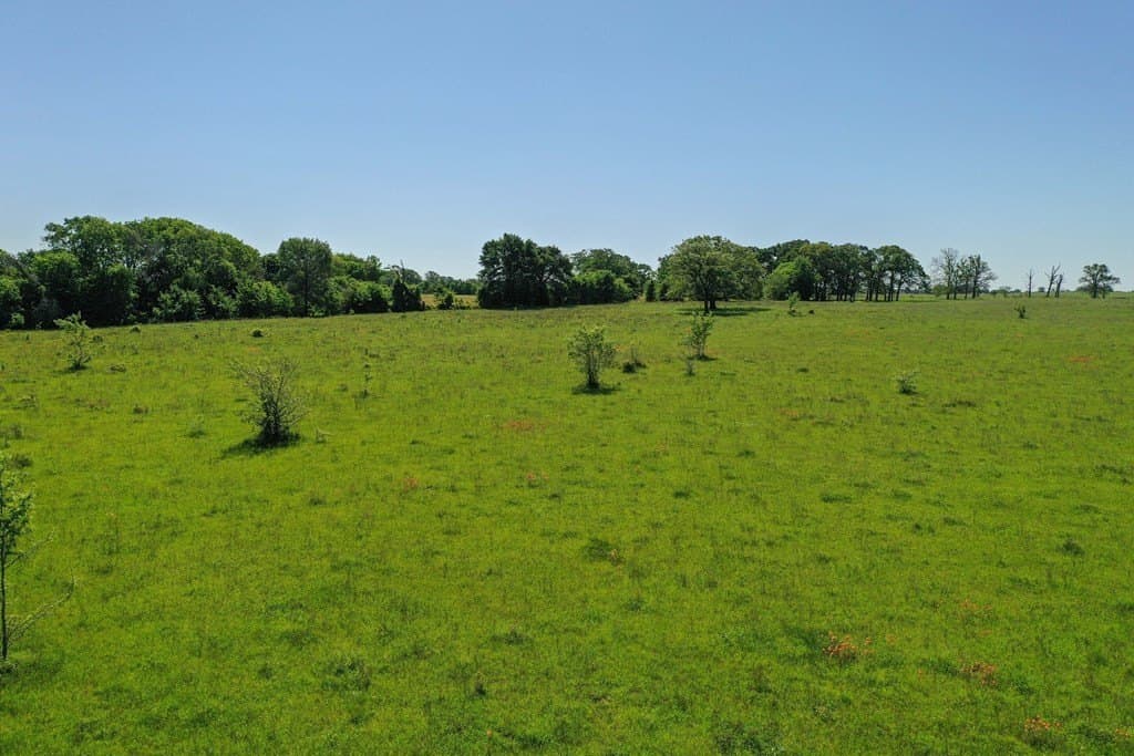 50 acres in Van Zandt County - photo 28