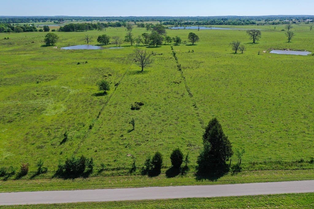 50 acres in Van Zandt County - photo 5