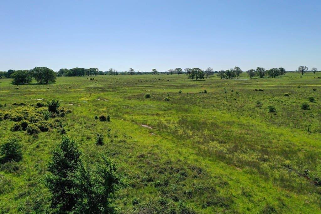 50 acres in Van Zandt County - photo 18