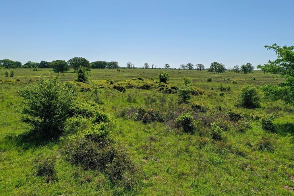 50 acres in Van Zandt County - photo 31