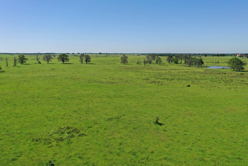 50 acres in Van Zandt County - photo 11
