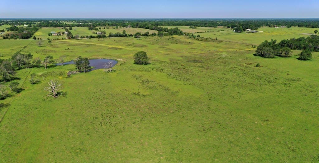 50 acres in Van Zandt County - photo 4