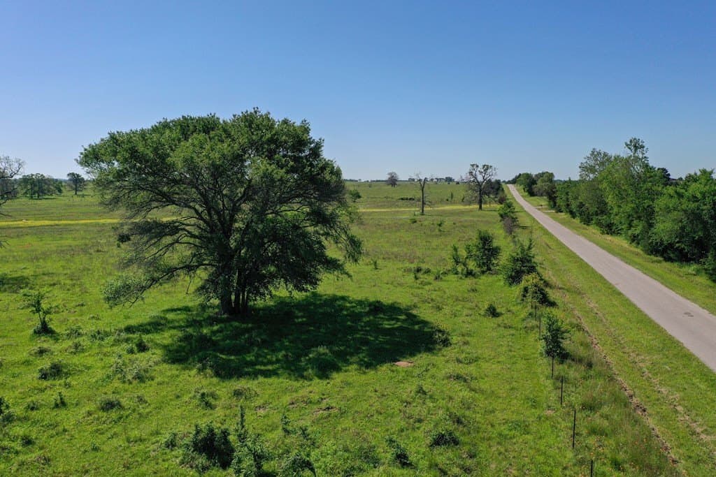 50 acres in Van Zandt County - photo 8