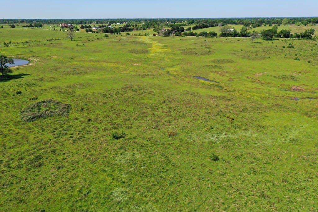 50 acres in Van Zandt County - photo 13