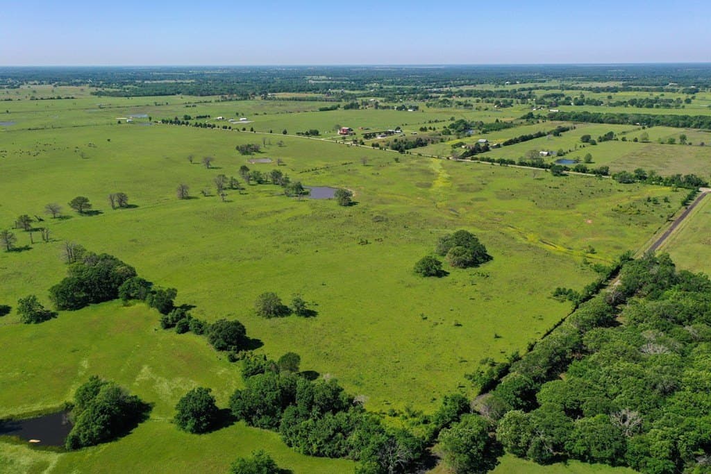 50 acres in Van Zandt County - photo 9