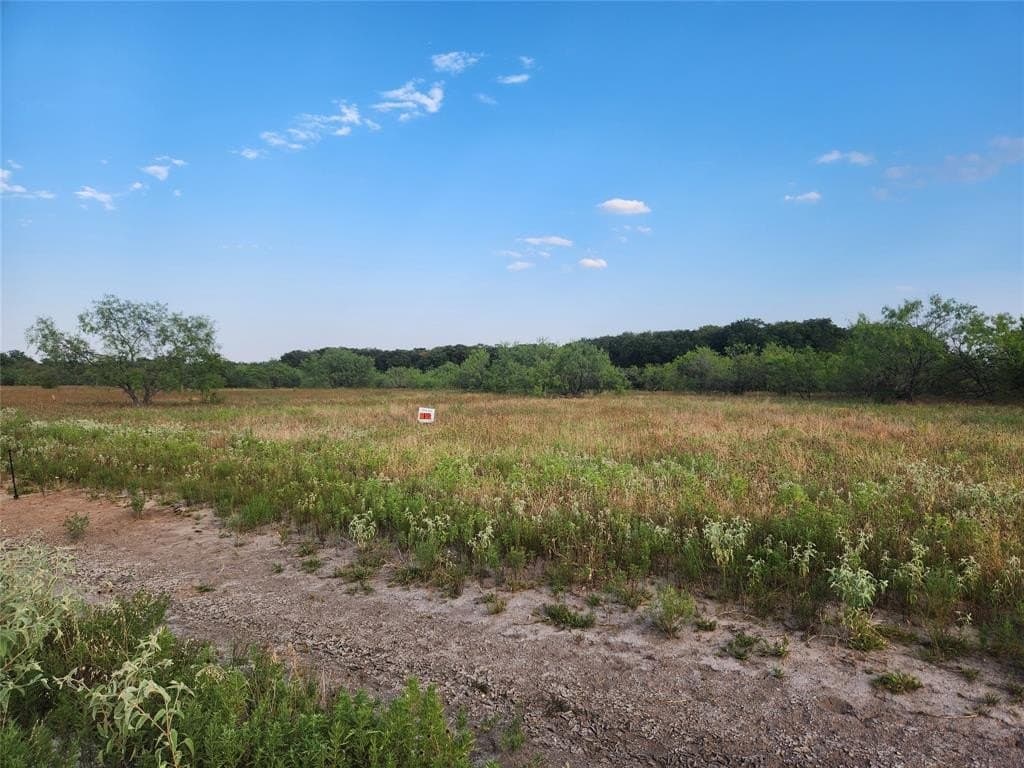 10.1 acres in Hill County - photo 3