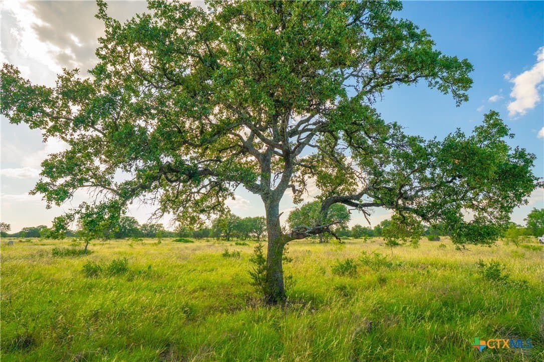 6.01 acres in Blanco County - photo 6