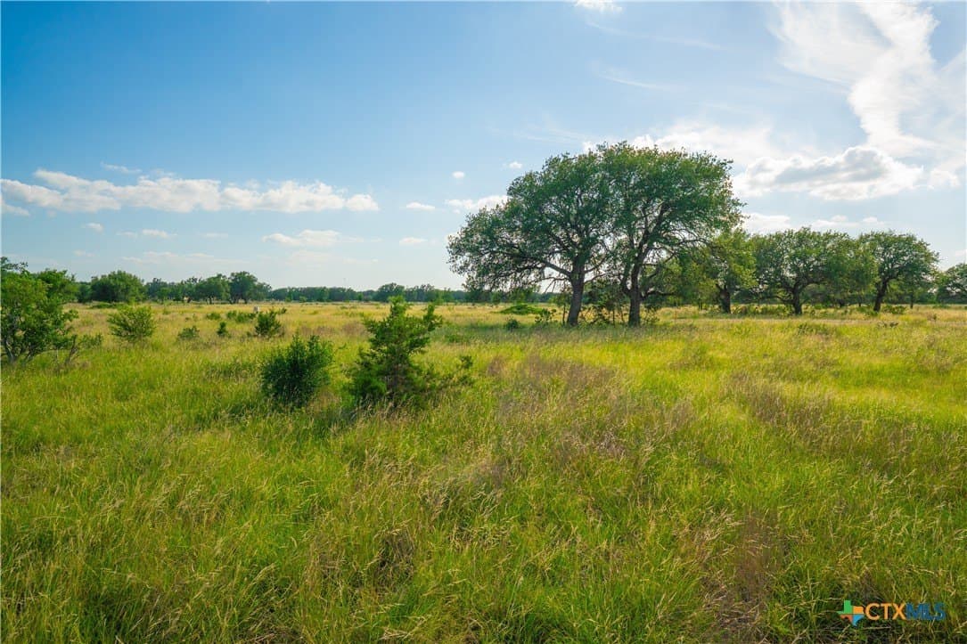 6.01 acres in Blanco County - photo 2