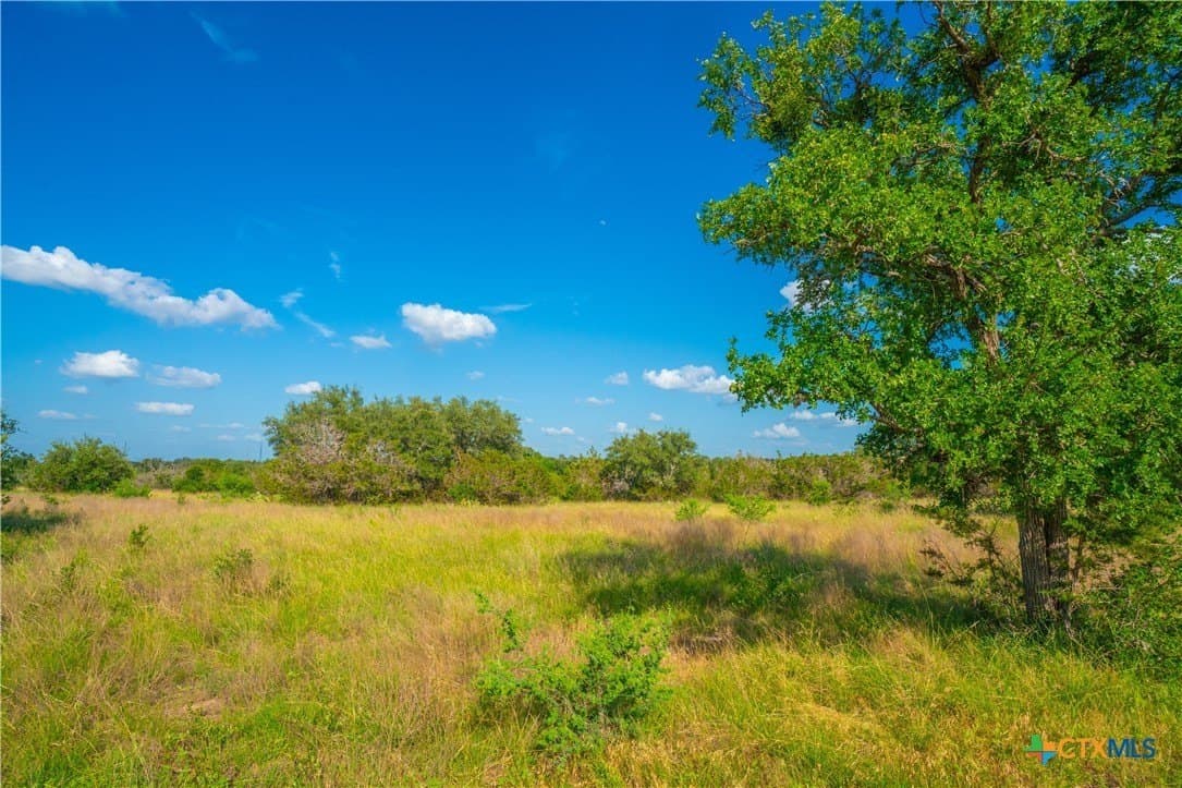 6.01 acres in Blanco County - photo 3