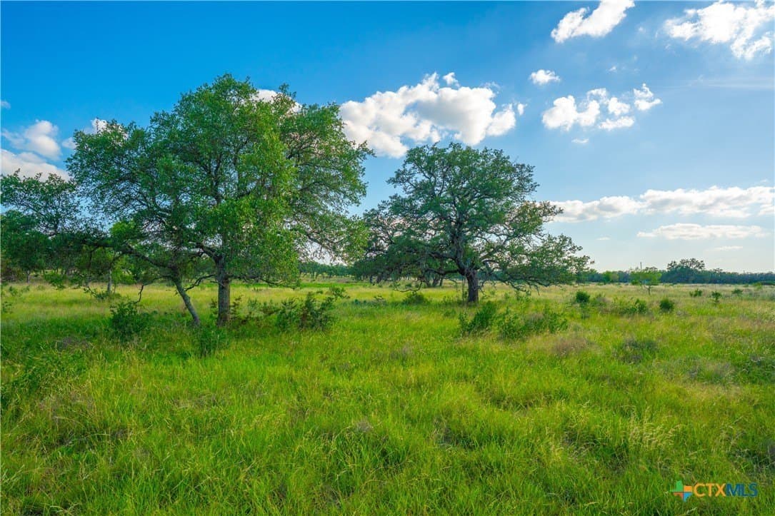 6.01 acres in Blanco County - photo 7