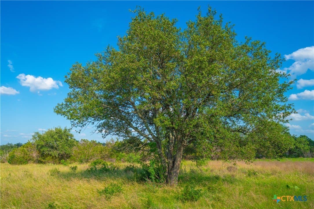 6.01 acres in Blanco County - photo 5