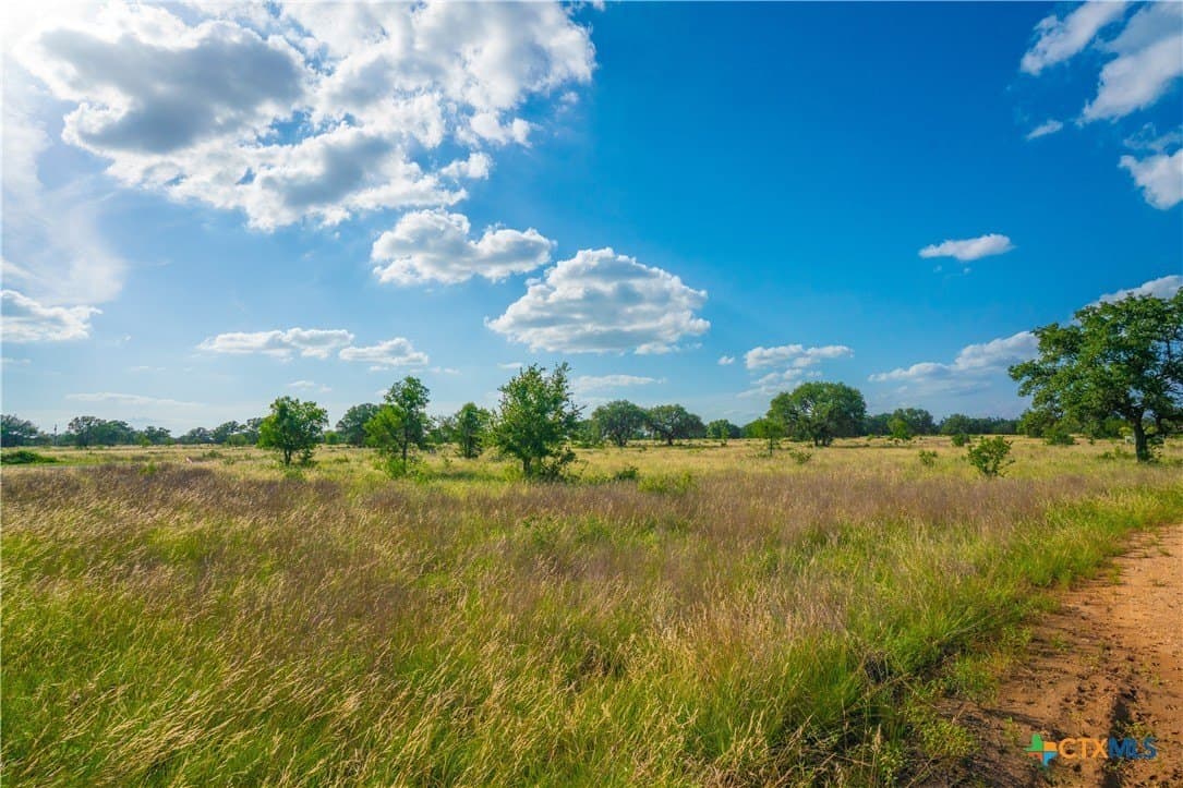 6.01 acres in Blanco County - photo 4