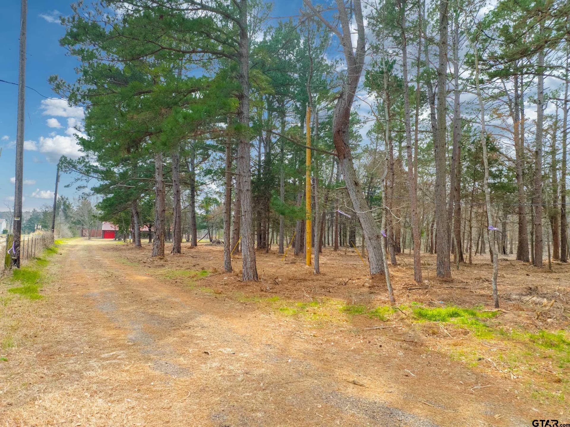 10 acres in Smith County - photo 40