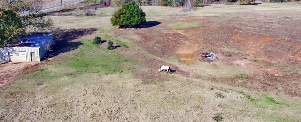 19.9 acres in Henderson County - photo 33