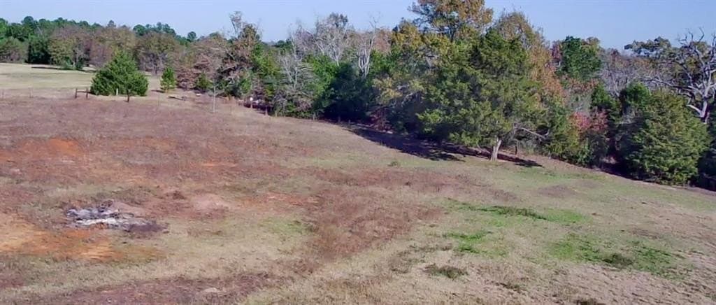 19.9 acres in Henderson County - photo 38