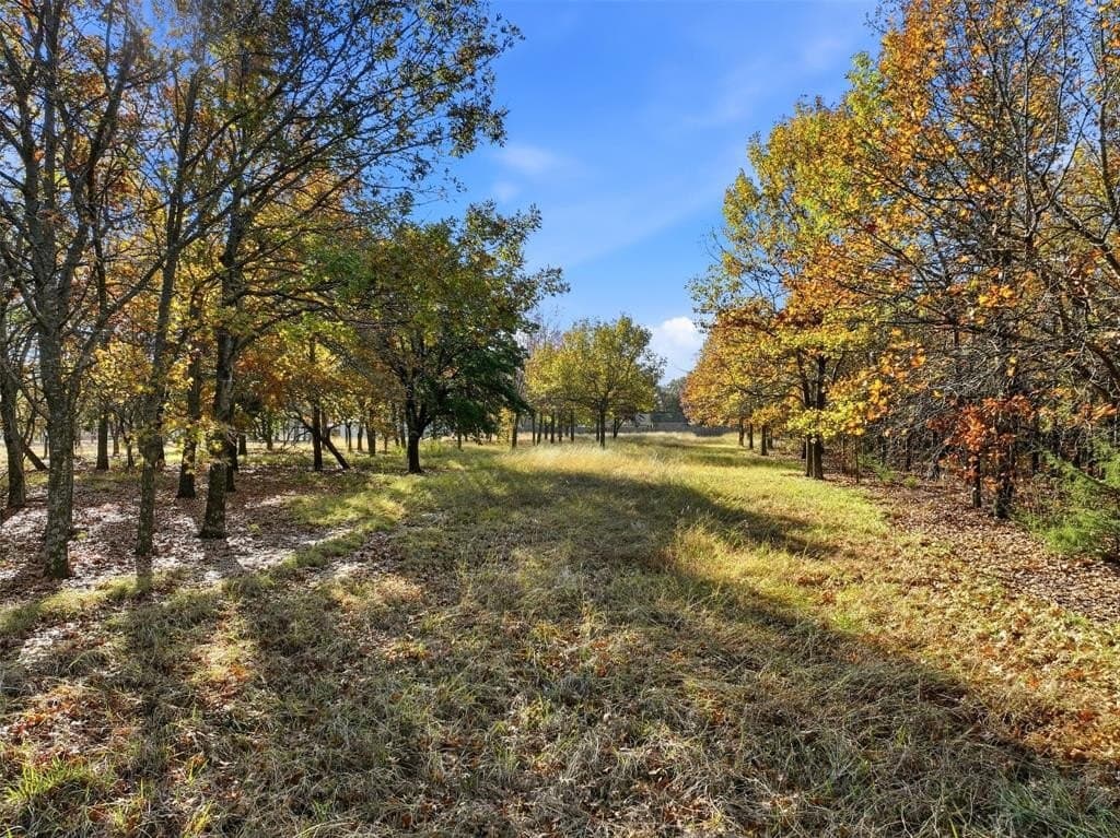 7.91 acres in Ellis County - photo 8