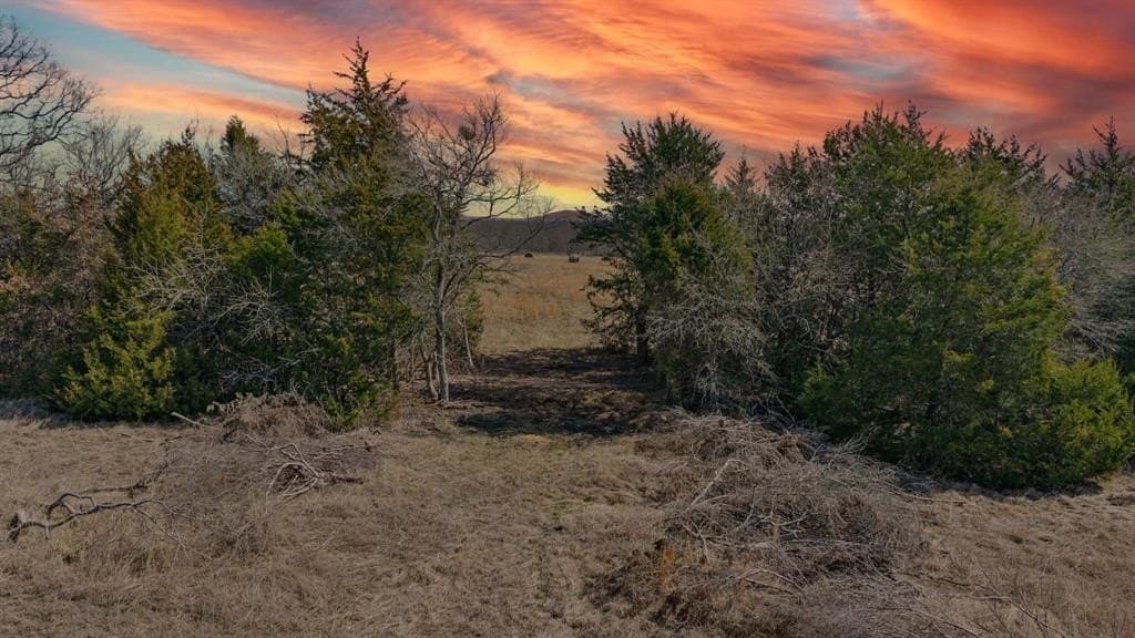 18.77 acres in Hunt County - photo 2