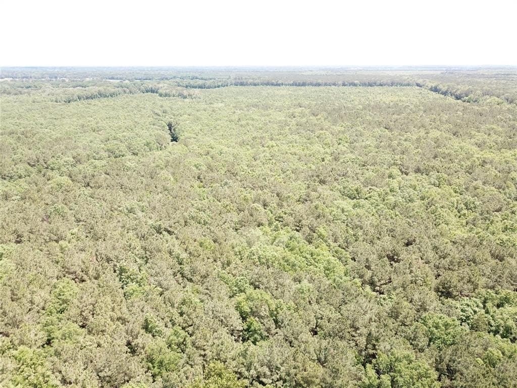 265.96 acres in Bowie County - photo 22