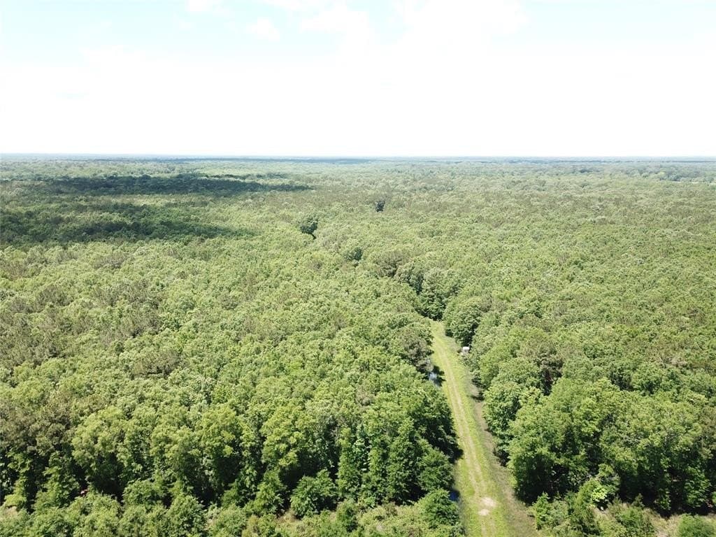 265.96 acres in Bowie County - photo 12