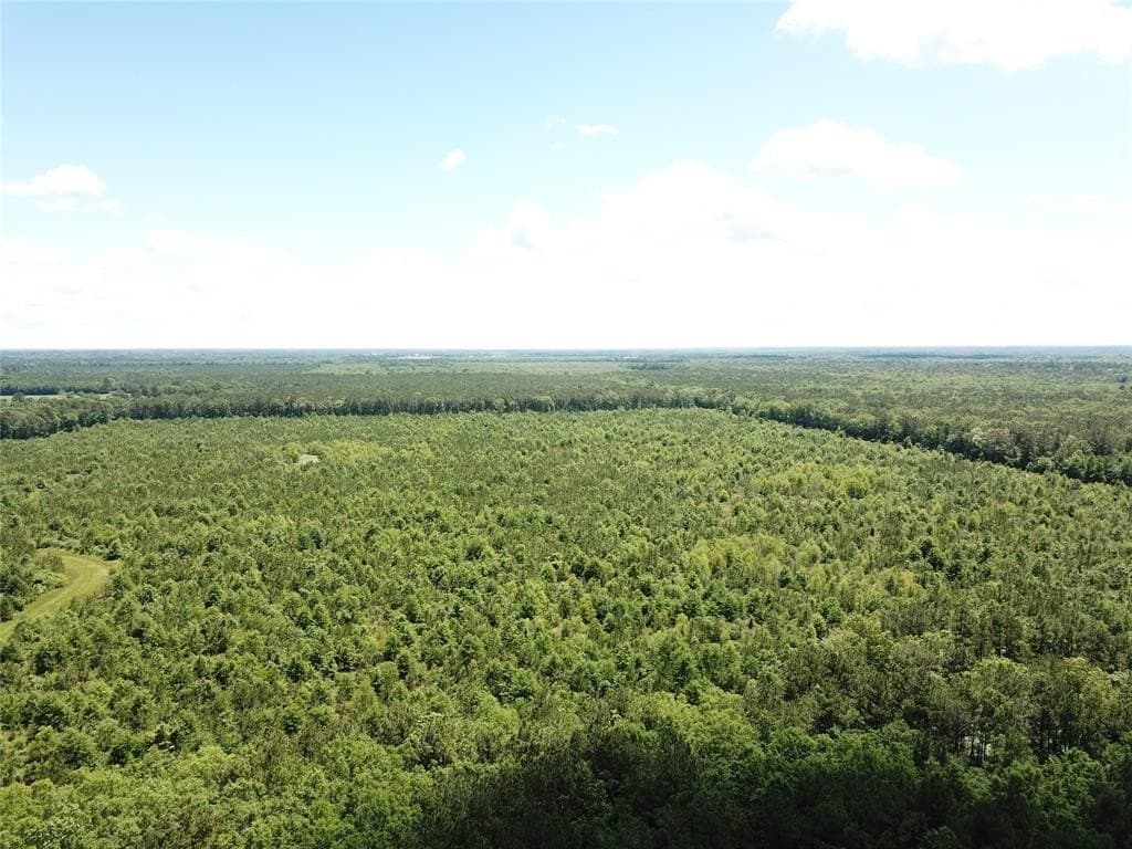 265.96 acres in Bowie County - photo 5