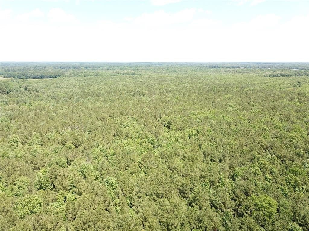 265.96 acres in Bowie County - photo 19