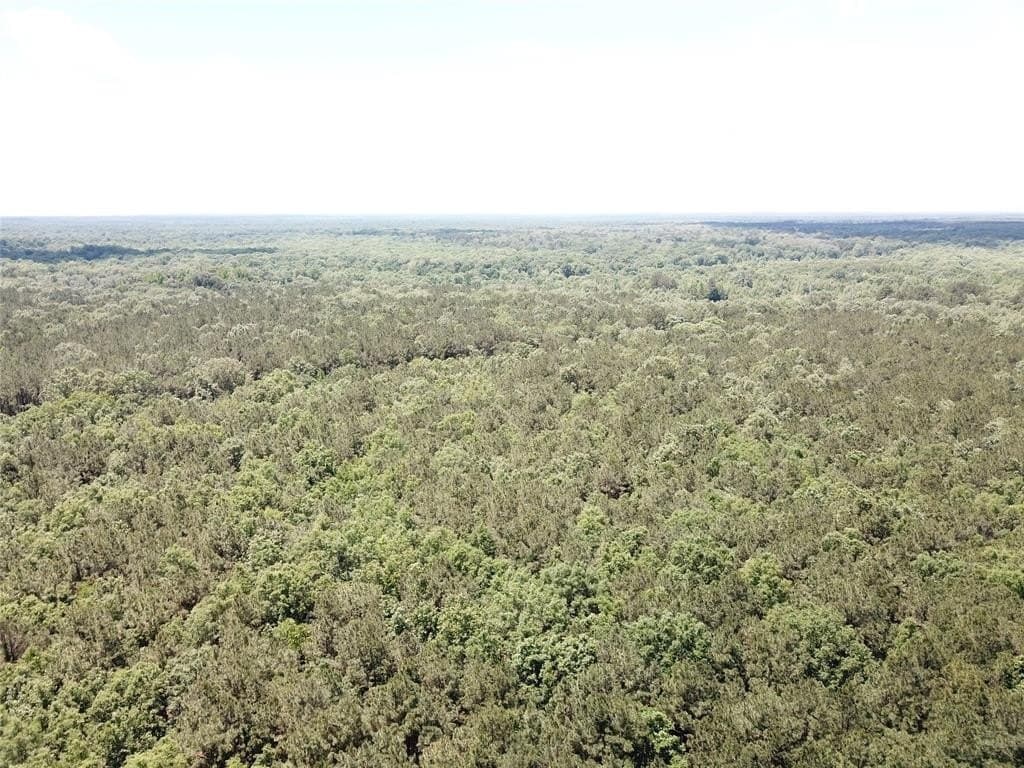 265.96 acres in Bowie County - photo 15