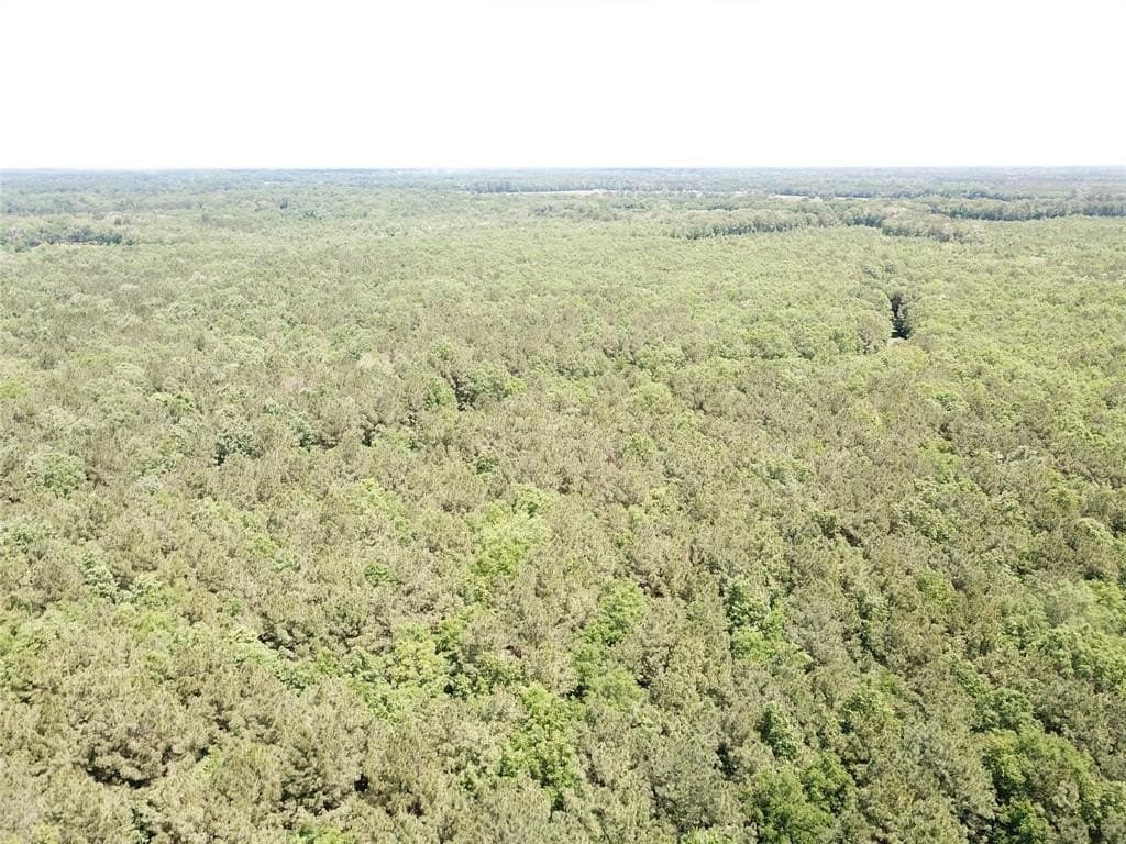 265.96 acres in Bowie County - photo 21