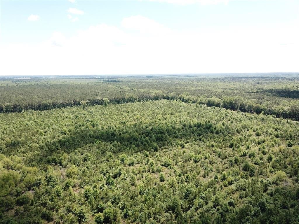265.96 acres in Bowie County - photo 7