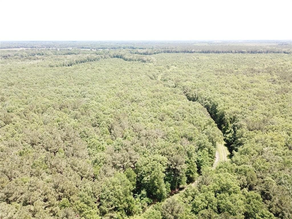 265.96 acres in Bowie County - photo 23