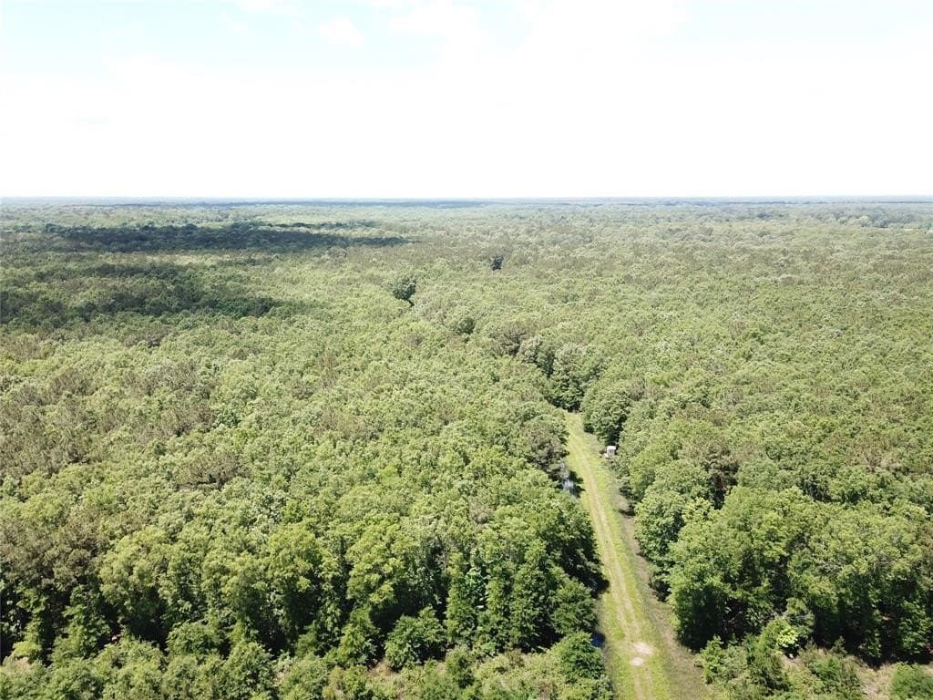 265.96 acres in Bowie County - photo 13