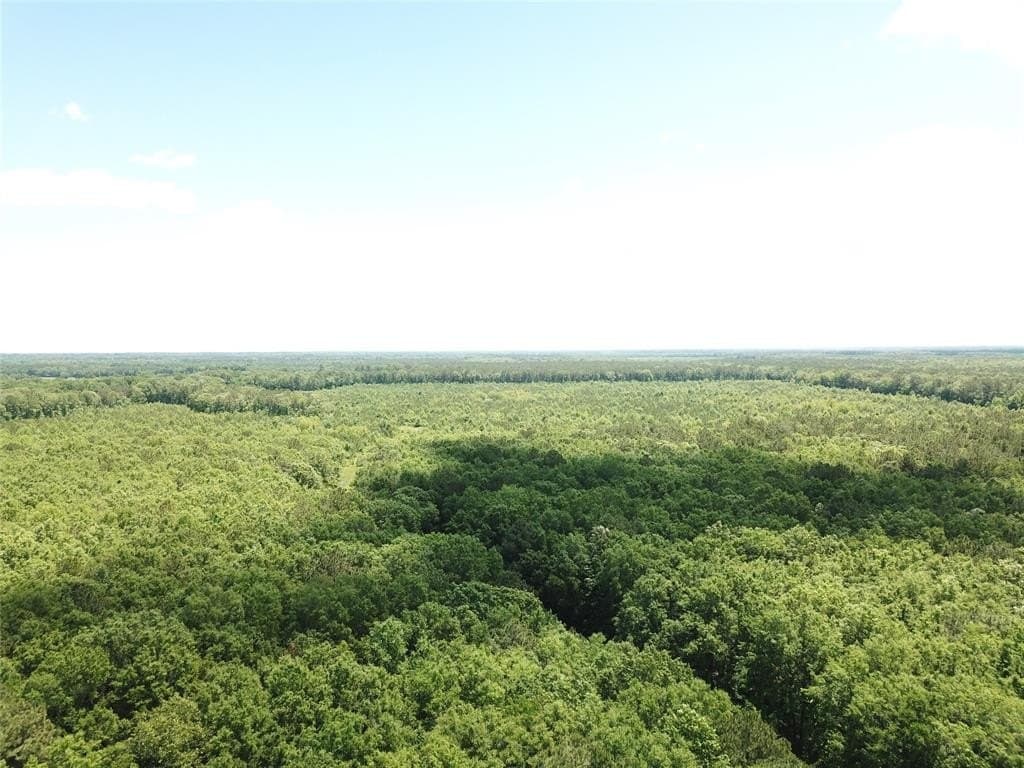 265.96 acres in Bowie County - photo 2